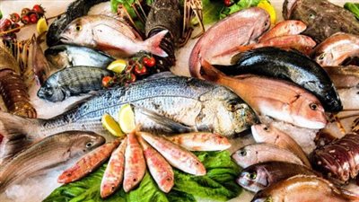  أسعار المأكولات البحرية اليوم الخميس 7 نوفمبر 2024.. البلطي الكبير 68 و70 جنيهًا للكيلو