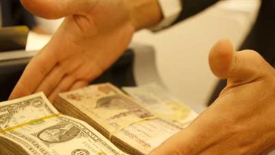 سعر الدولار اليوم في البنك المركزي المصري اليوم 11 نوفمبر 2024