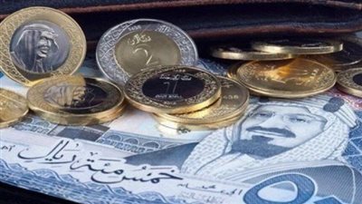 سعر الريال السعودي في البنك المركزي المصري اليوم الإثنين 11_11_2024