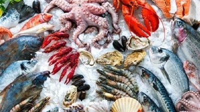  أسعار السمك والجمبري اليوم الاثنين 11 نوفمبر 2024