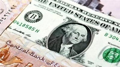 سعر الدولار مقابل الجنيه المصري اليوم الثلاثاء 12 نوفمبر 2024