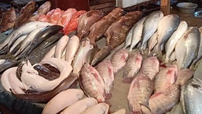  أسعار السمك والجمبري اليوم الثلاثاء 12 نوفمبر 2024