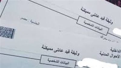 طريقة استخراج القيد العائلي 2024.. وأوراق الاستخراج أول مرة