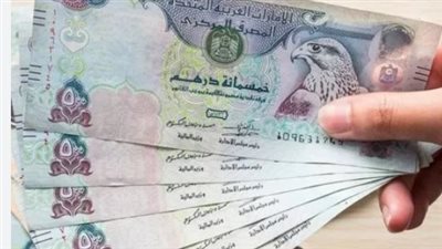 أسعار العملات أمام الجنيه المصري اليوم الأربعاء 13-11-2024.. سعر الدرهم الإماراتي بكام؟
