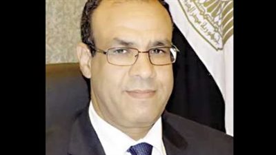 وزير الخارجية ينقل رسالة من الرئيس السيسي إلى رئيس جمهورية الكونجو الديمقراطية