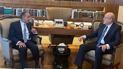 وزير الخارجية لرئيس الحكومة اللبنانية: ندعم لبنان أمام العدوان الإسرائيلي المستمر 