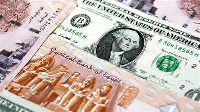 سعر الدولار مقابل الجنيه اليوم الخميس 14 نوفمبر 2024