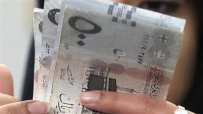 سعر الريال السعودي مقابل الجنيه المصري في السوق السوداء اليوم الخميس 14_11_2024