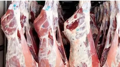  أسعار اللحوم اليوم الخميس 14 نوفمبر 2024 في محلات الجزارة بالأسواق