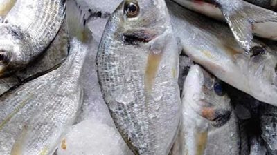  أسعار المأكولات البحرية بأنواعها المختلفة في سوق العبور والأسواق المختلفة.. السمك والجمبري بكام؟