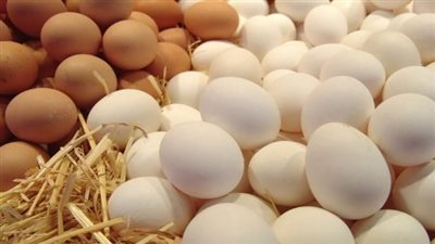 سعر كرتونة البيض الأحمر والبلدي اليوم الخميس 14_11_2024