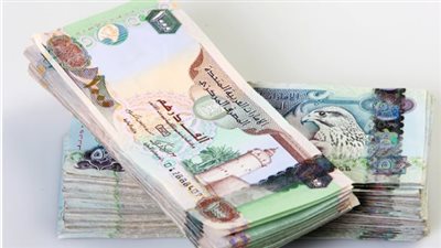 سعر الدرهم الإماراتي في البنك المركزي المصري اليوم الخميس 14_11_2024