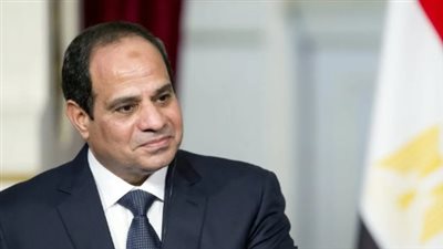 الرئيس عبدالفتاح السيسي يبحث مع وزير التعاون الدولى الجنوب أفريقى تعزيز التعاون