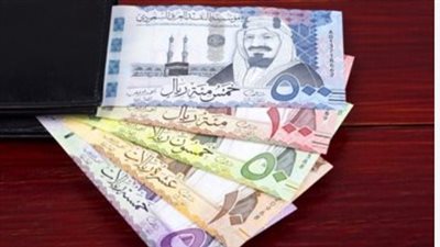 سعر الريال السعودي في البنك المركزي المصري اليوم 19_11_2024