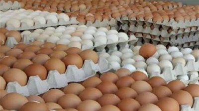 كم تساوي سعر كرتونة البيض؟