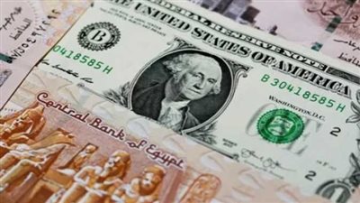 سعر الدولار بالسوق السوداء اليوم الأربعاء 20_11_2024 في مصر 