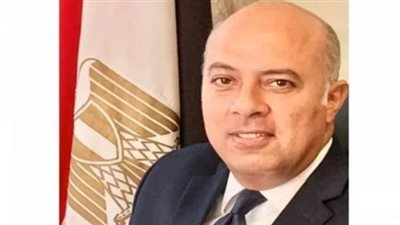 السفير محمد الشناوى متحدثا رسميا لرئاسة الجمهورية المصرية 