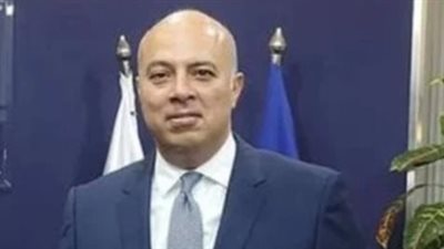 بعدما بدأ مهام مسئولياته الجديدة كمتحدث رسمي باسم رئاسة الجمهورية.. من هو السفير محمد الشناوي؟