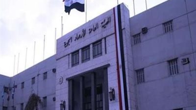 هيئة الأرصاد الجوية المصرية: استمرار فرص سقوط الأمطار على مناطق من شمال البلاد