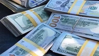 سعر الدولار اليوم في البنك المركزي المصري اليوم 21_11_2024