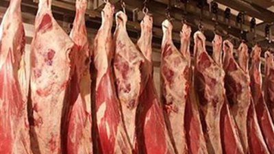  أسعار اللحوم البلدي في مصر اليوم السبت 23 نوفمبر 2024