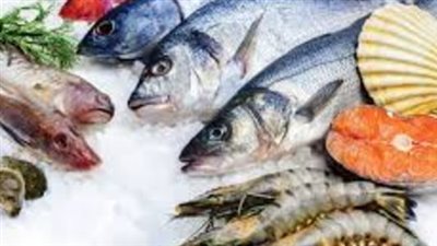 سعر السمك اليوم السبت 23 نوفمبر 2024