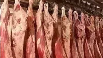  أسعار اللحوم البلدي في مصر اليوم 24 نوفمبر 2024