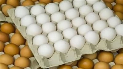 سعر كرتونة البيض الأحمر والأبيض اليوم الأحد 24_11_2024