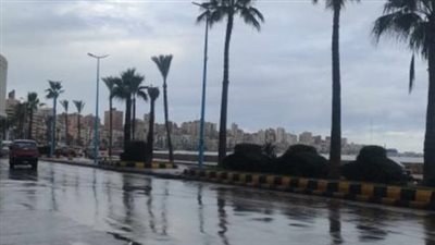 طقس الإسكندرية اليوم الإثنين 25_11_2024.. رياح شديدة وانخفاض فى درجات الحرارة 