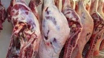  سعر اللحوم الضأن اليوم الإثنين 25 نوفمبر 2024 