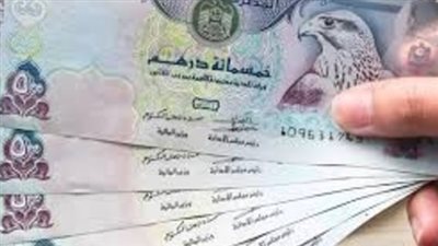  سعر الدرهم الاماراتي في البنك المركزي المصري اليوم 26_11_2024