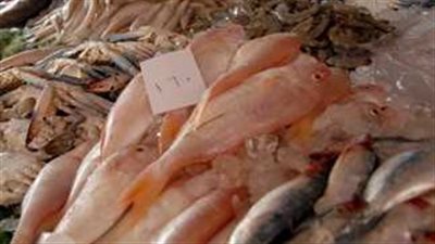  تباين أسعار السمك والجمبري اليوم الثلاثاء 26 نوفمبر 2024