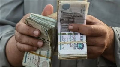 رابط الاستعلام عن قيمة المعاش بالاسم لشهر ديسمبر 2024 