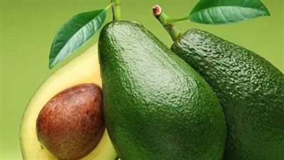 ما هي الأمراض التي يعالجها الأفوكادو؟.. يقي من الإصابة بـ 4 أمراض خطيرة