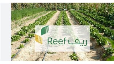 السعودية.. متى يصرف راتب ريف للمزارعين؟