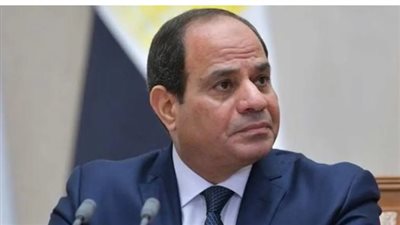  السيسي: محتاجين أن القطاع الخاص يشتغل ويتطور ويكبر استثماراته
