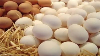 أسعار الدواجن والبيض اليوم الأربعاء 27 نوفمبر 2024 
