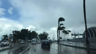 تحذير عاجل.. الأرصاد الجوية المصرية تعلن حالة الطقس اليوم الأحد 1 ديسمبر 2024