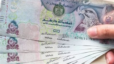 سعر الدرهم الإماراتي في البنك المركزي المصري اليوم الأحد 1_12_2024