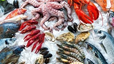 أسعار السمك والجمبري اليوم الأحد 1 ديسمبر 2024