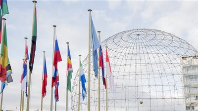 اليونسكو تدرب صانعي المحتوى الرقمي لتعزيز مصداقية الأخبار على الإنترنت