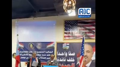 أبناء الجالية الجنوبية في ولاية كاليفورنيا الأمريكية يحتفلون بذكرى عيد الاستقلال (فيديو)