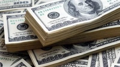 سعر الدولار في البنك المركزي المصري اليوم الإثنين 2_12_2024