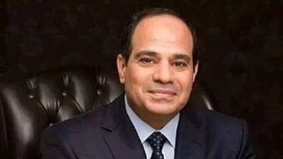 السيسى يستقبل الرئيس التنفيذى لشركة 