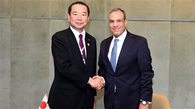 وزير الخارجية ينسق مع نظيره الياباني جهود إدخال المساعدات لقطاع غزة