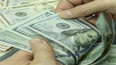 سعر الدولار في البنك المركزي المصري اليوم الثلاثاء 3_12_2024