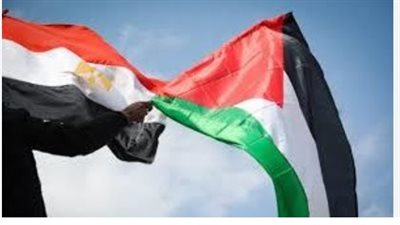  القاهرة تكثف جهودها لوقف إطلاق النار في غزة