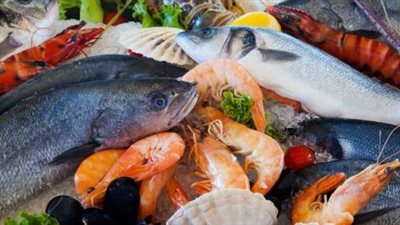  أسعار الأسماك والجمبري اليوم الخميس 28 نوفمبر 2024 في الأسواق