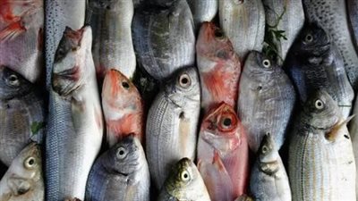 أسعار السمك والجمبري اليوم الثلاثاء 3 ديسمبر 2024