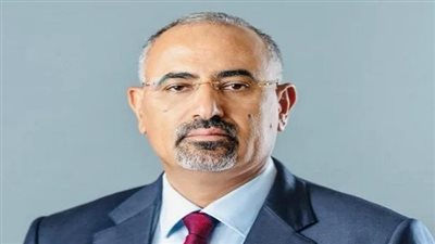 انتصارات دبلوماسية.. كيف لعبت القيادة الجنوبية دورًا فاعلًا في قضية جنوب اليمن في محافل الأمم المتحدة؟